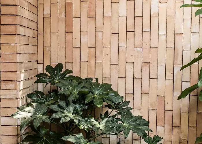 Hotel Casa Cuenca México DF